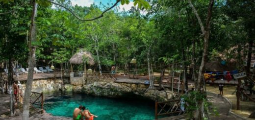 Zacil-Ha Cenote - tulun best cenote