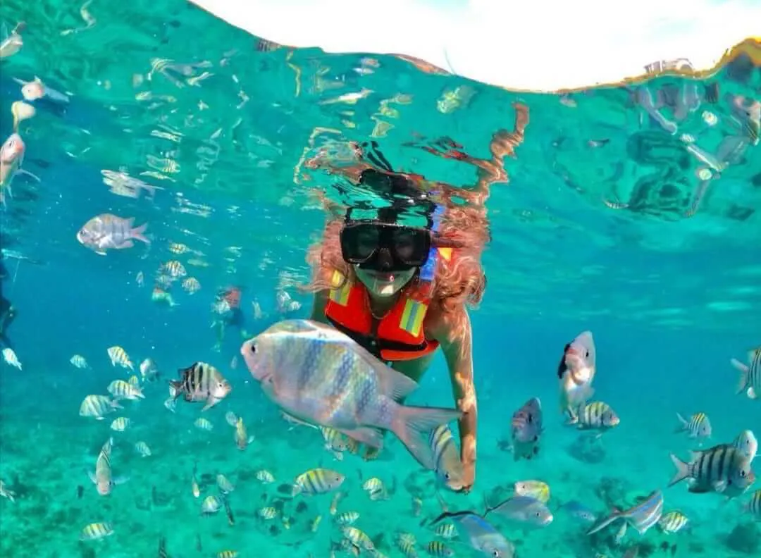 Isla Mujeres Catamaran Tour with Snorkel, Open Bar & Transport